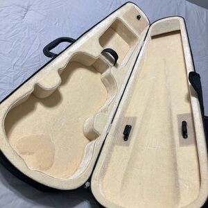 Violin case